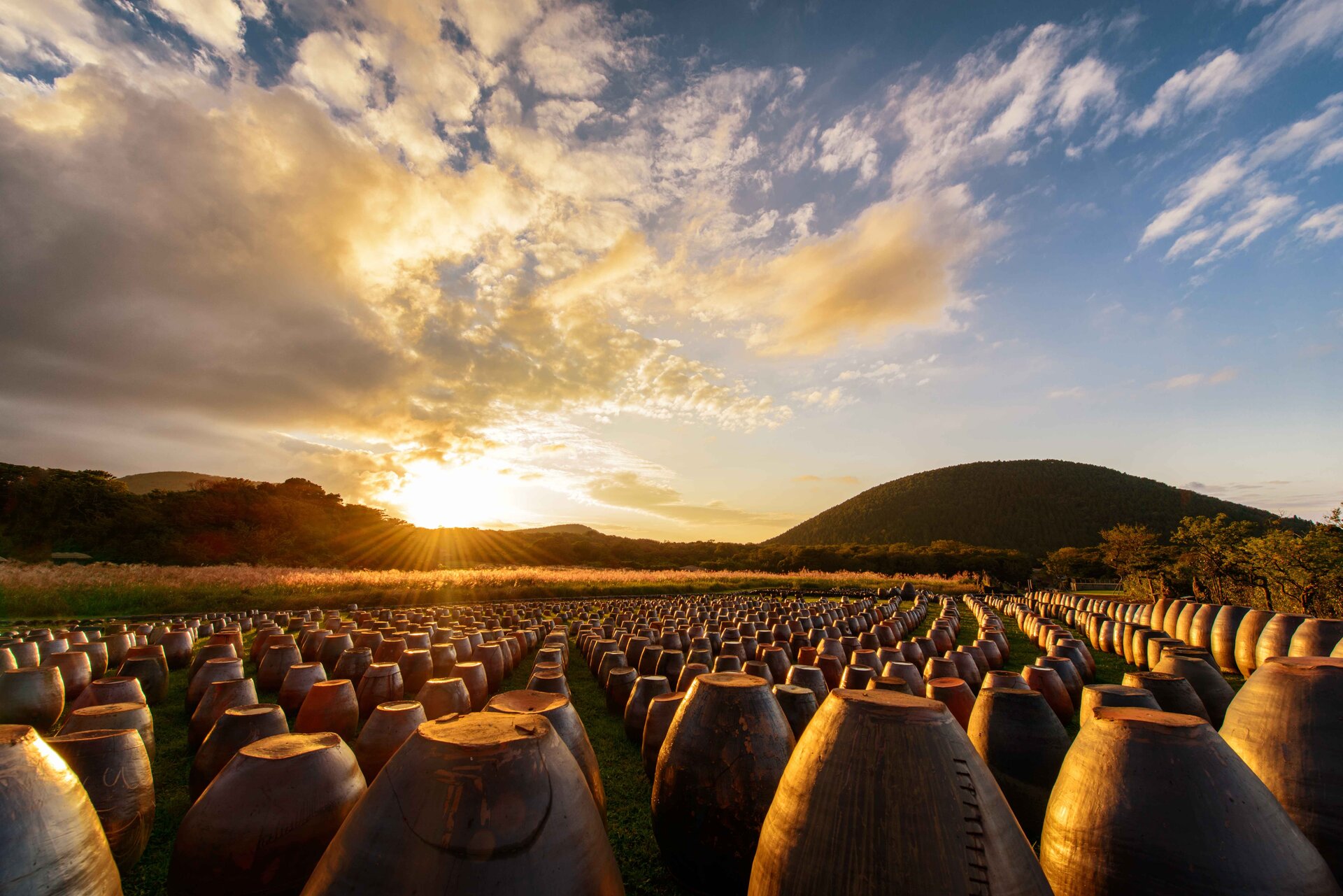 Sunset and Jars